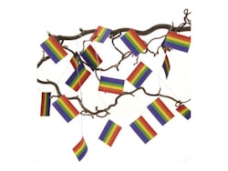 Flaggirland Pride