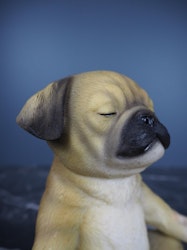 Yogavalp Mops