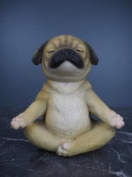 Yogavalp Mops