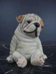 Sittande hund