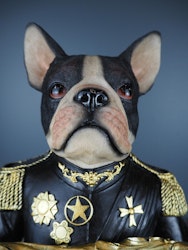 Hund med fat