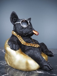 Donny Dog