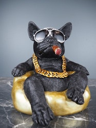 Donny Dog
