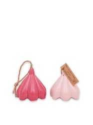 Porslinsbjällra Rosa