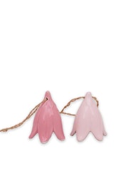 Porslinsbjällra Rosa