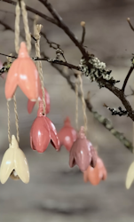 Porslinsbjällra Rosa