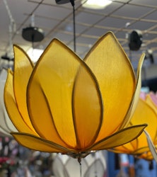 Lotuslampa Gul