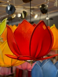 Lotuslampa Röd