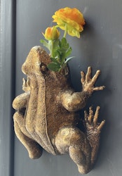 Fiona Frog