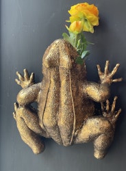 Fiona Frog