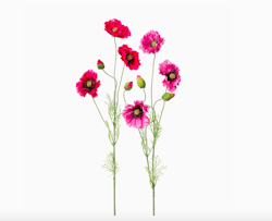 Vallmo 90cm, rosa mix