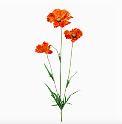 Vallmo 68cm, Orange