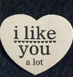 Disktrasa - I like you a lot