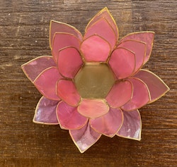 Lotuslykta Rosa