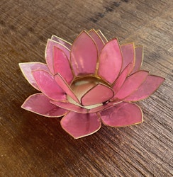 Lotuslykta Rosa
