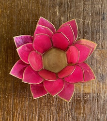 Lotuslykta Cerise