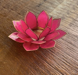 Lotuslykta Cerise