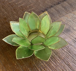 Lotuslykta Grön