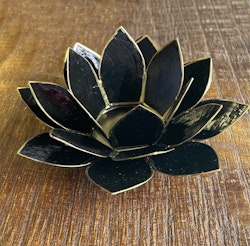 Lotuslykta Svart