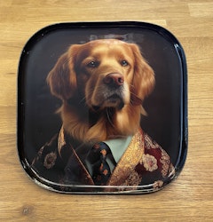 Bricka Golden Retriever