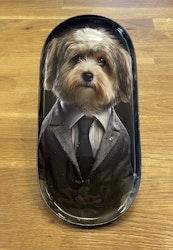Bricka Bichon Havanais
