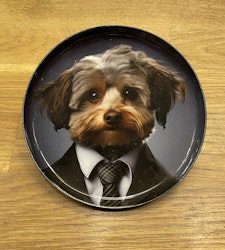 Bricka Shih Tzu
