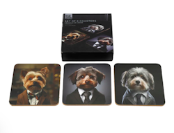 Coasters Lurviga Hundar
