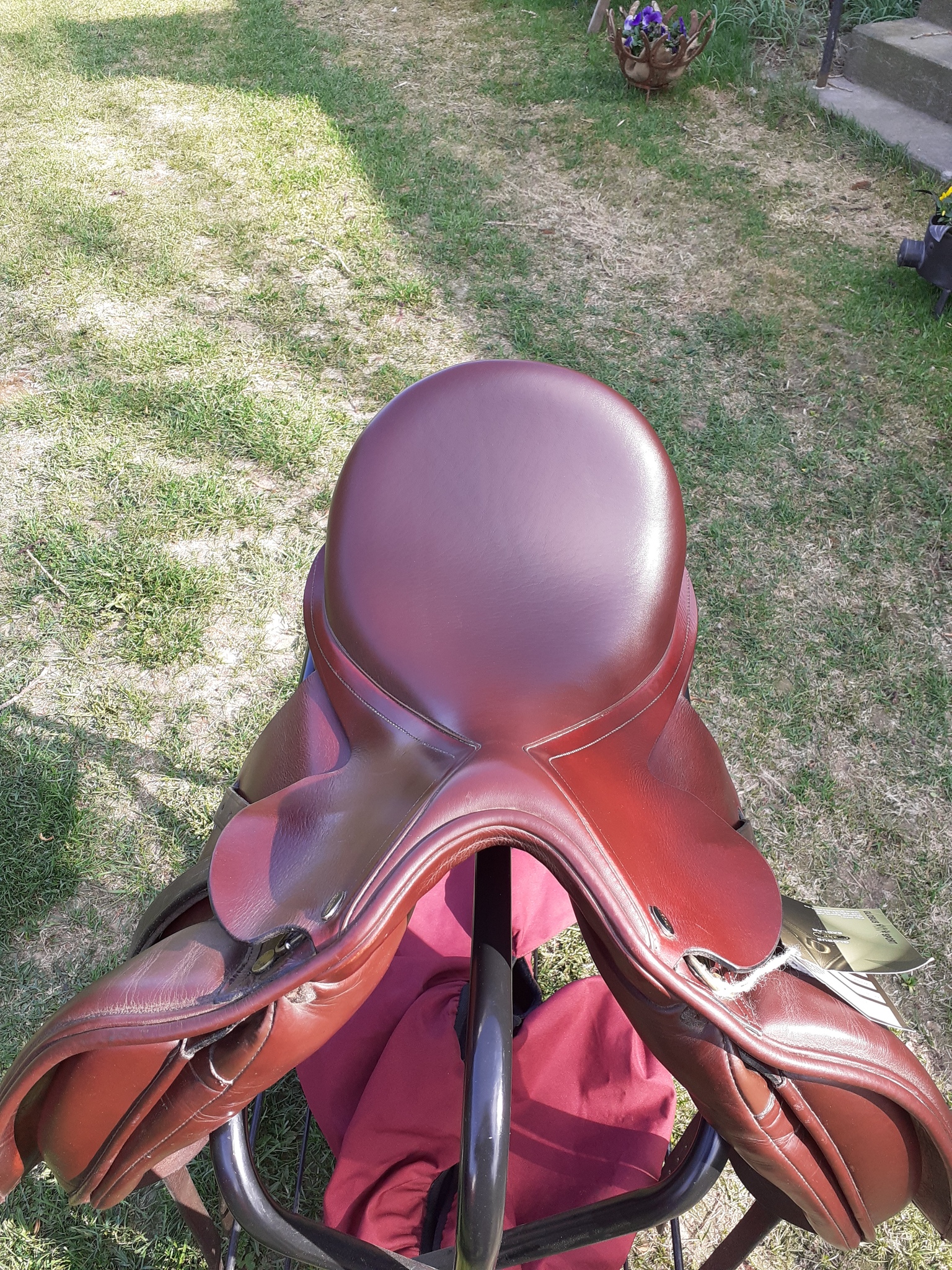 Globus Crincle Dressyr sadel med läder, 17 tum, 38 bomvidd