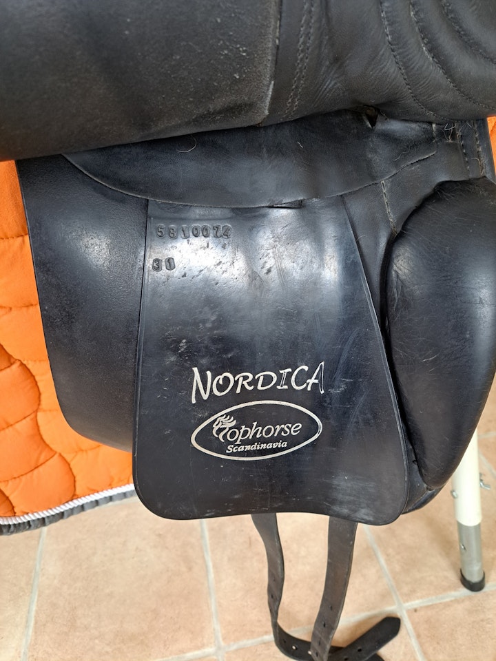 Scandinavia horse nordica, 17 tum