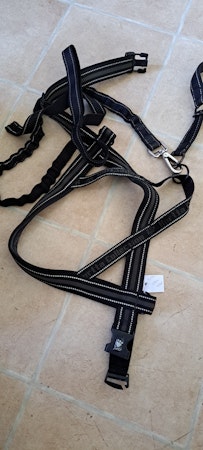 Sele med koppel,  100cm
