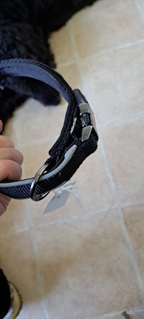Halsband