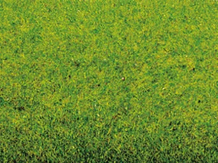 NOCH 00300 Realistiskt sommar gräsmatta / äng 100x300cm, 3 m2