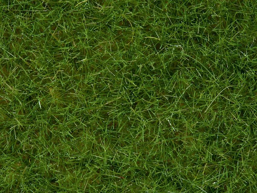 NOCH 07092 Realistiskt ljus grön vild gräs äng 6mm 100 gram