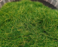 NOCH 07097 XL Realistiskt ljus grön vild gräs äng 12mm 80 gram