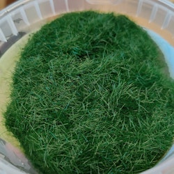 NOCH 07099 XL Realistiskt mörk grönt vild gräs äng 12mm 80 gram