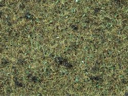 NOCH 08350 Strömaterial/Scatter Gräs Skog/Grass Forrest floor 2,5mm 20 gram