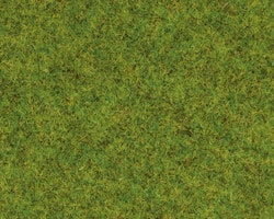 NOCH 08300 Strömaterial/Scatter Gräs Sommar äng/Grass Summer Meadow 2,5mm 20 gram