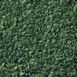 NOCH 07144 Löv mellangrön/Leaves Middle Green 50 gram