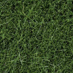 NOCH 07106 Strömaterial Wild gräs mörk grönt 6mm/Scatter Wild Grassdark green 6mm 50 gram