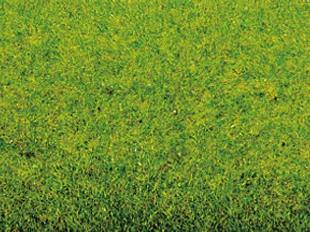 NOCH 00010 Våräng gräsmatta/Spring Meadow grass-mat 200x100cm