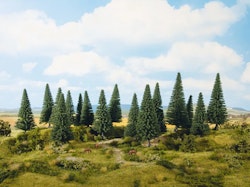NOCH 24641 Granskog / Fir trees 14 stycken/pcs