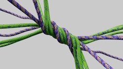 Paracord 550 - 30 m