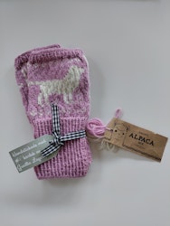Torgvantar - Alpacka