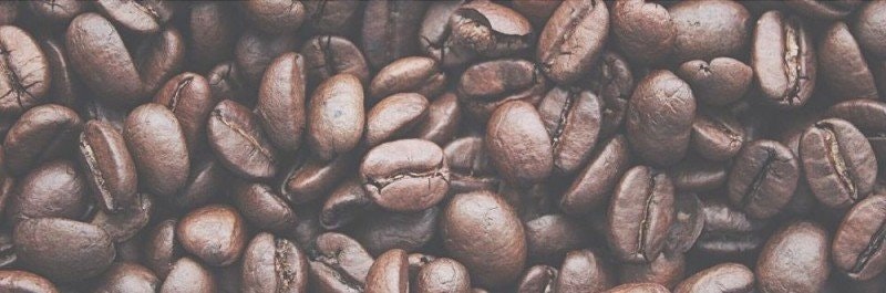 Coffee as an ingredient in skincare - efficiency and sustainability
