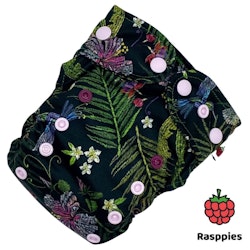 Rasppies - Comfort OS - Costa Rica
