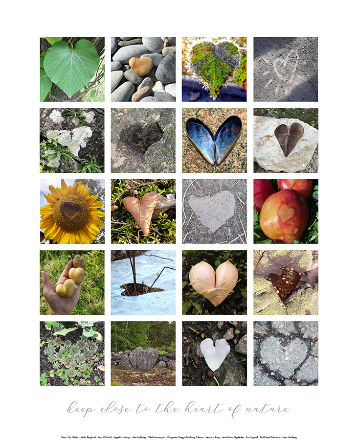 Affisch - Heart of nature  (500x700mm)