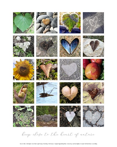 Affisch - Heart of nature  (500x700mm)