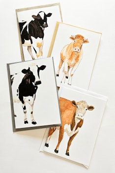 Kort - Kossor (4 pack)