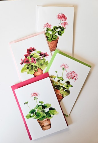 Pelargonkort ( 4 pack)
