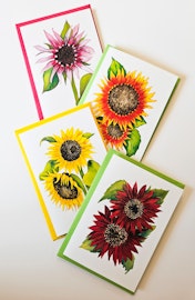 Solroskort (4 pack)
